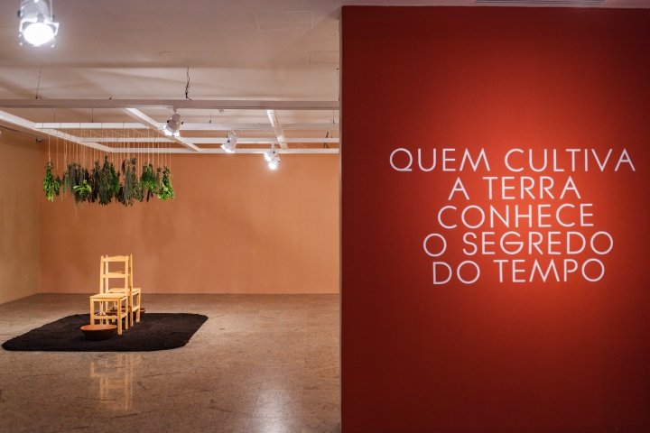 Roda de conversa marca o encerramento da exposição “Cansanção em Flor”, em cartaz no MAC-CE até o final de julho