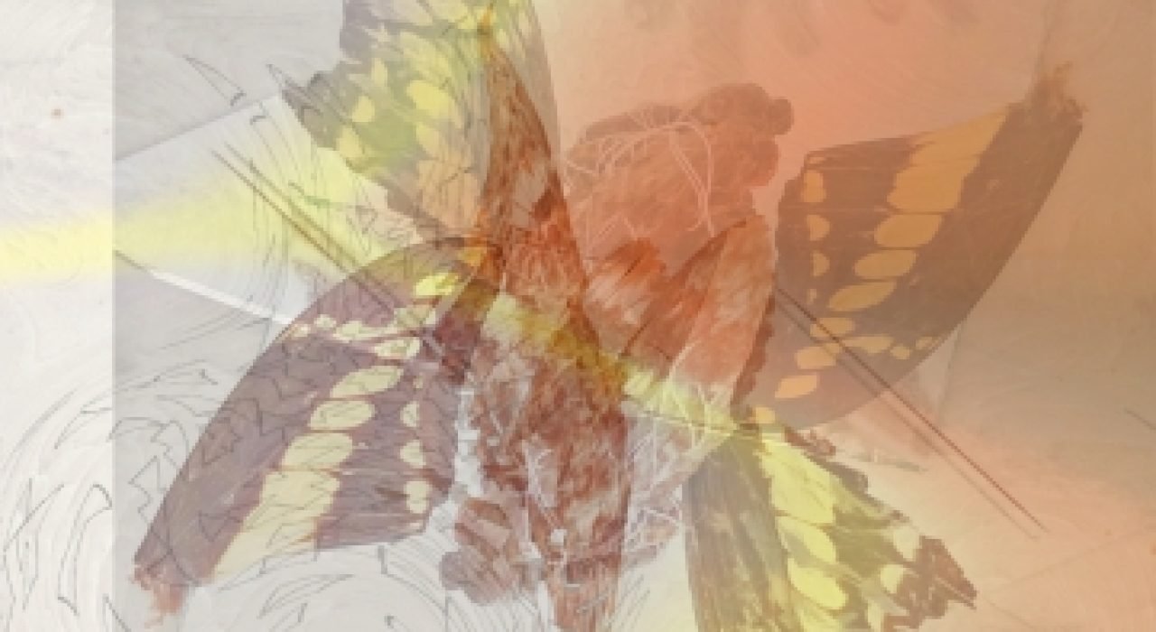 1400c7306a7a6d539fecab6816d61a00