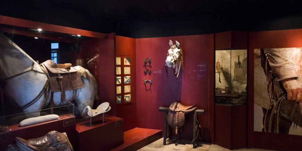 Vaqueiros_Luiz Alves-7(1)